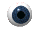 eyeball.gif (26986 Byte)